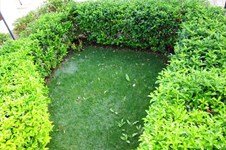 Property 13382 photo 19