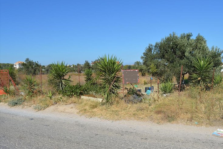 Realty photo 2
