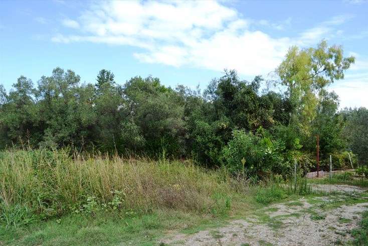 Realty photo 2