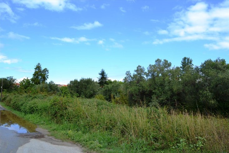 Realty photo 3