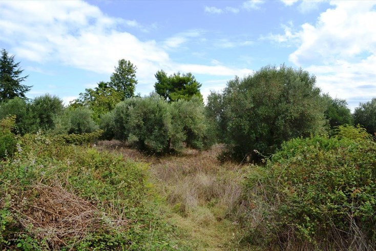 Realty photo 1