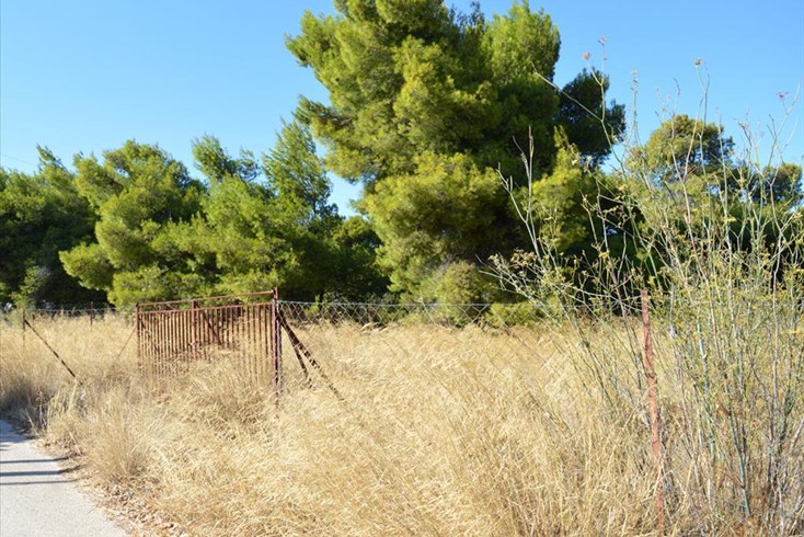 Realty photo 3