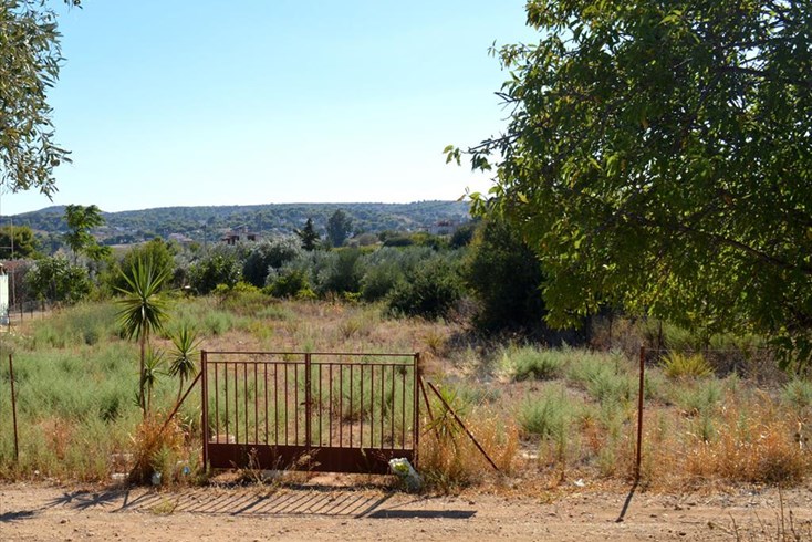 Realty photo 1