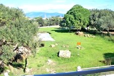 Property 13435 photo 1