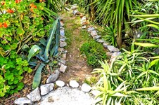Property 13446 photo 11