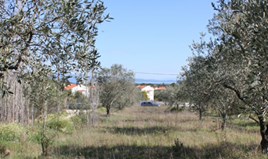 Zemljište 17643 m² na Sitoniji (Halkidiki)
