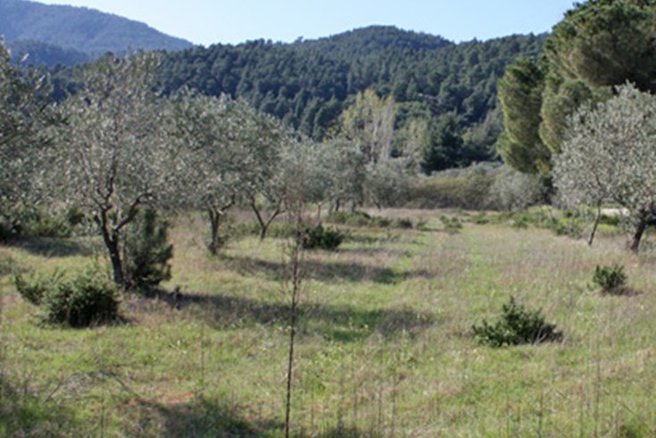 Realty photo 2