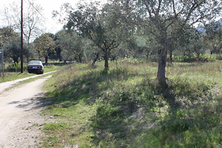 Realty photo 3