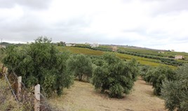 أرض 13042 m² في جزيرة كريت