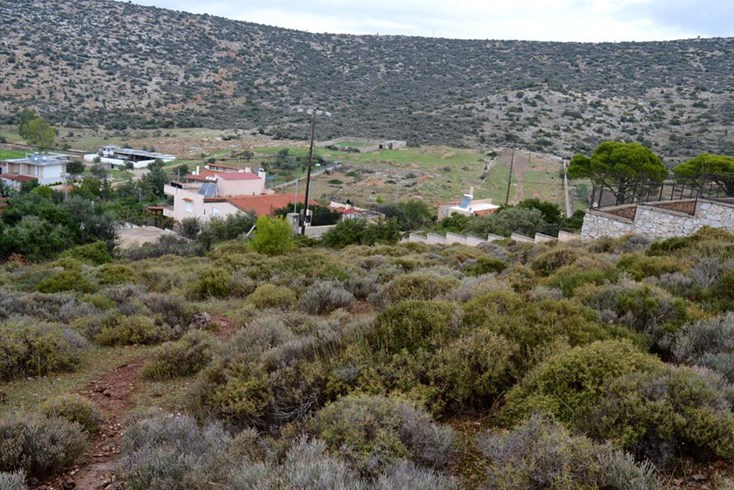 Realty photo 2