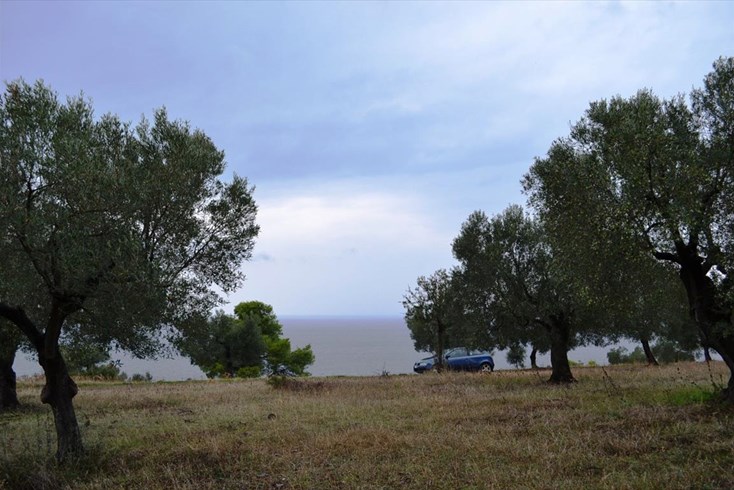 Realty photo 2