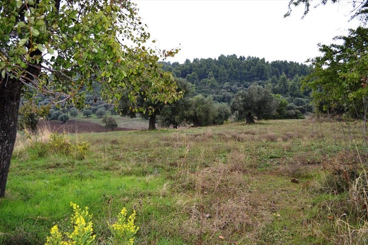 Realty photo 2