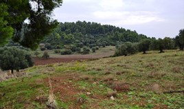 أرض 4000 m² في کاساندرا (هالكيديكي)