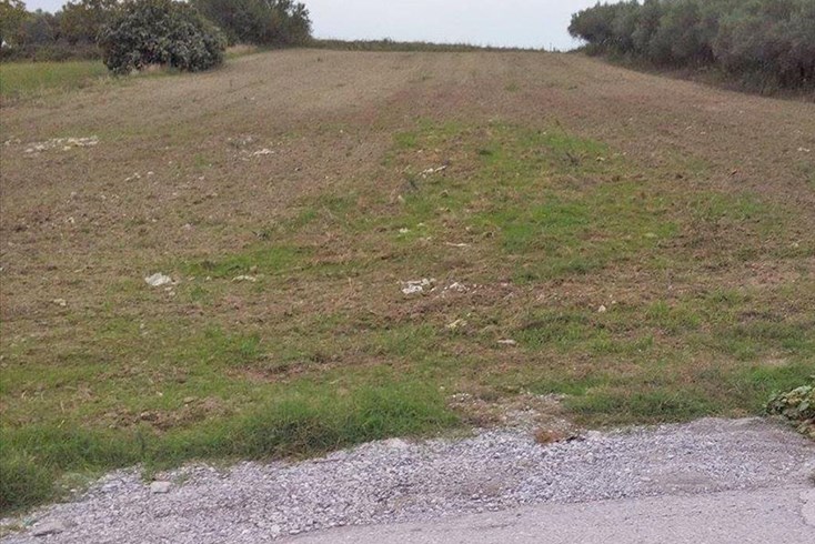 Realty photo 2
