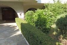 Property 1360 photo 24