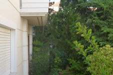 Property 1361 photo 2