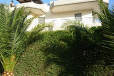 Property 1362 photo 5