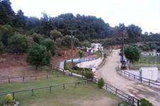 Property 13655 photo 37