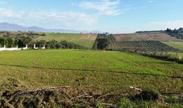 სასტუმრო 8194 m² სალონიკის გარეუბანში