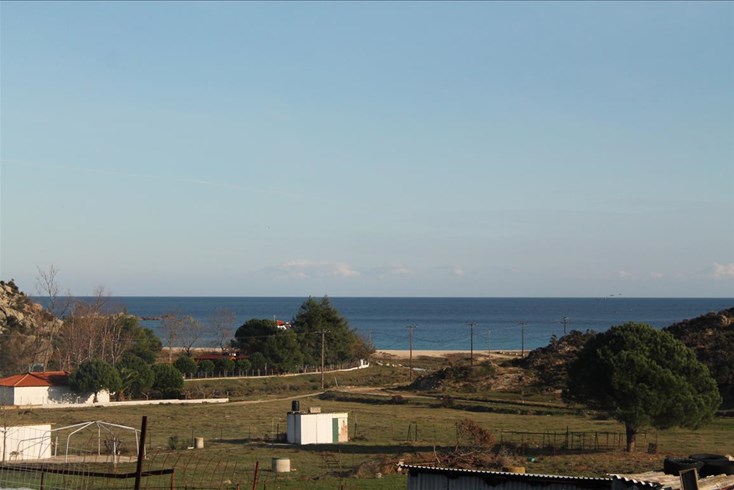 Realty photo 1
