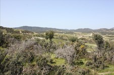 Property 13770 photo 2