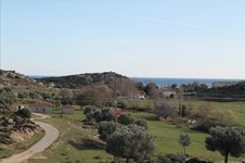 Property 13777 photo 1