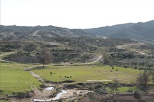 Property 13777 photo 3