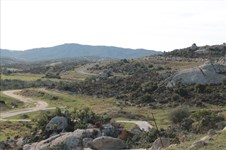 Property 13777 photo 4