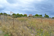 Property 13784 photo 5