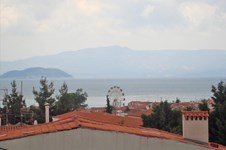 Property 1379 photo 1