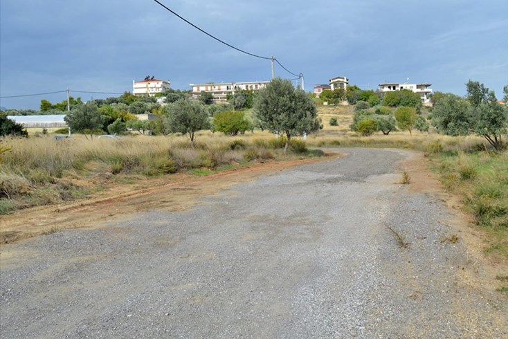 Realty photo 2