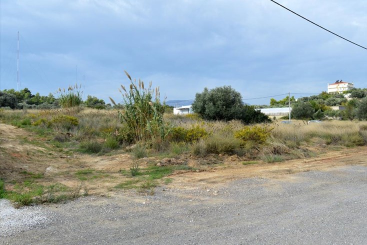 Realty photo 3