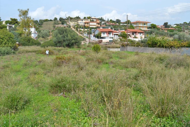 Realty photo 2