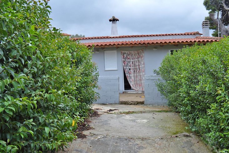 Realty photo 1