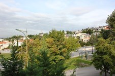 Property 13887 photo 15