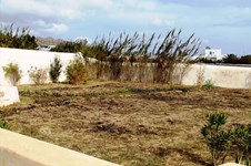 Property 13891 photo 7