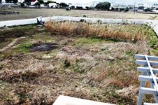 Property 13891 photo 18