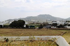 Property 13891 photo 21