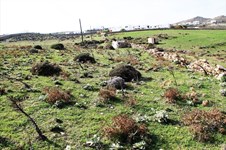 Property 13892 photo 6