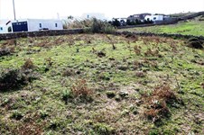 Property 13892 photo 7