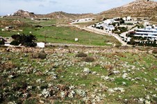 Property 13892 photo 12