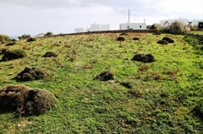 Property 13892 photo 15