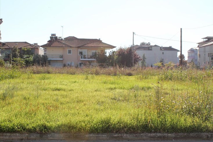 Realty photo 2