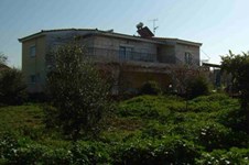 Property 1395 photo 2