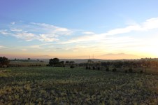 Property 13960 photo 21