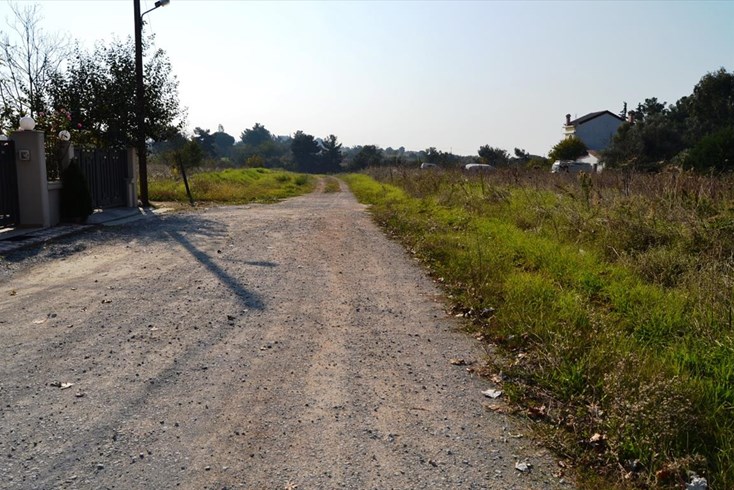 Realty photo 3