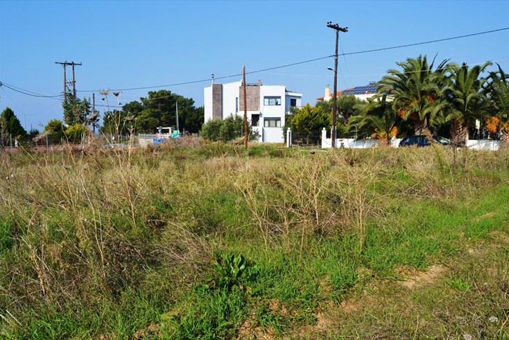 Realty photo 1