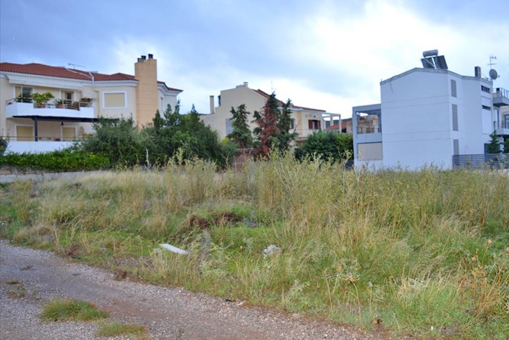 Realty photo 1