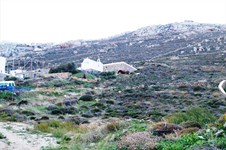 Property 14021 photo 1