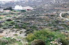 Property 14021 photo 3